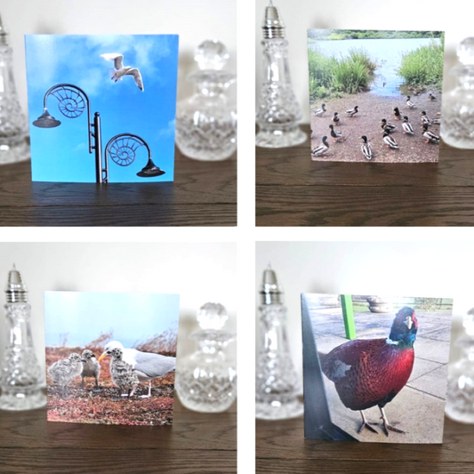 bird-birthday-cards
