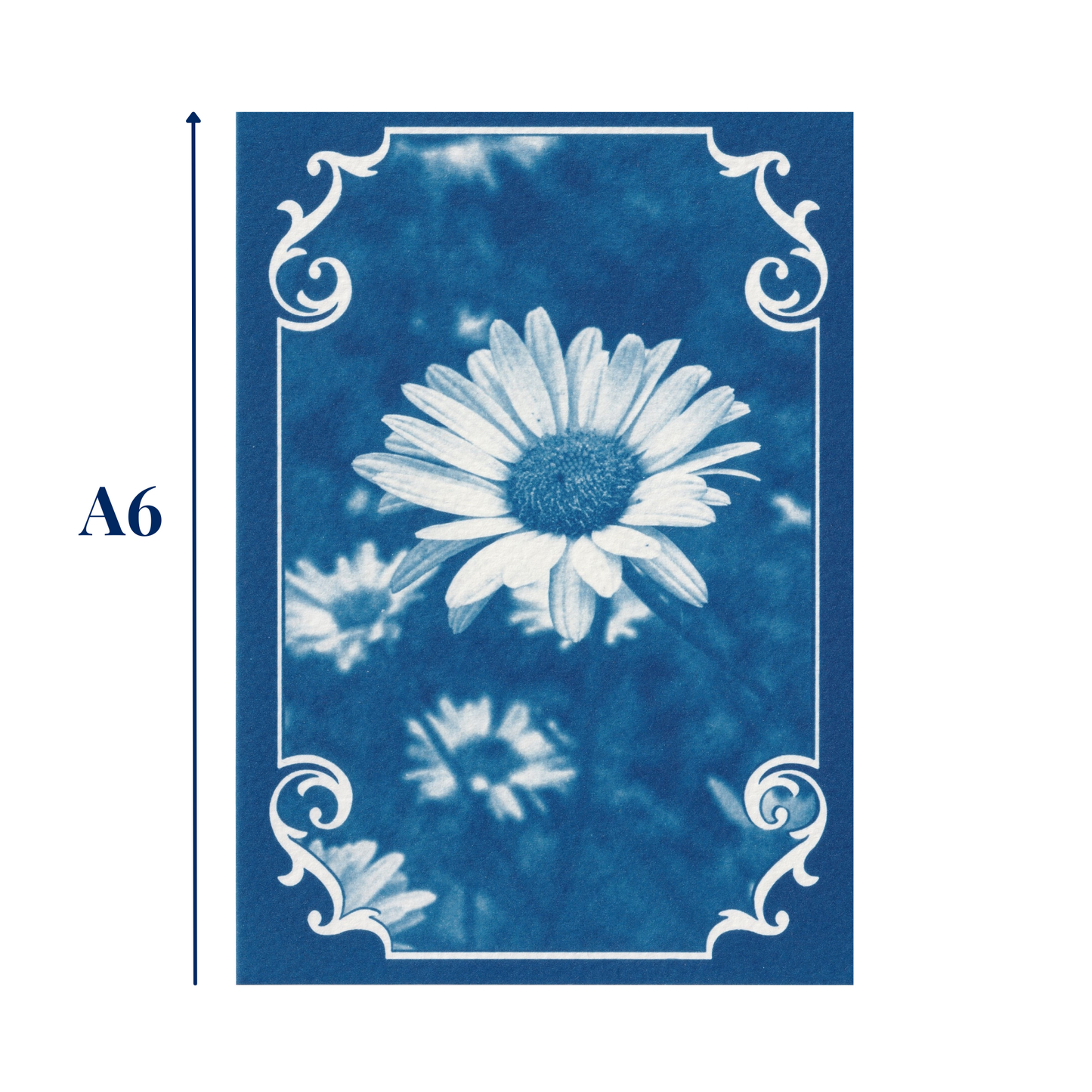 april-birthday-flower