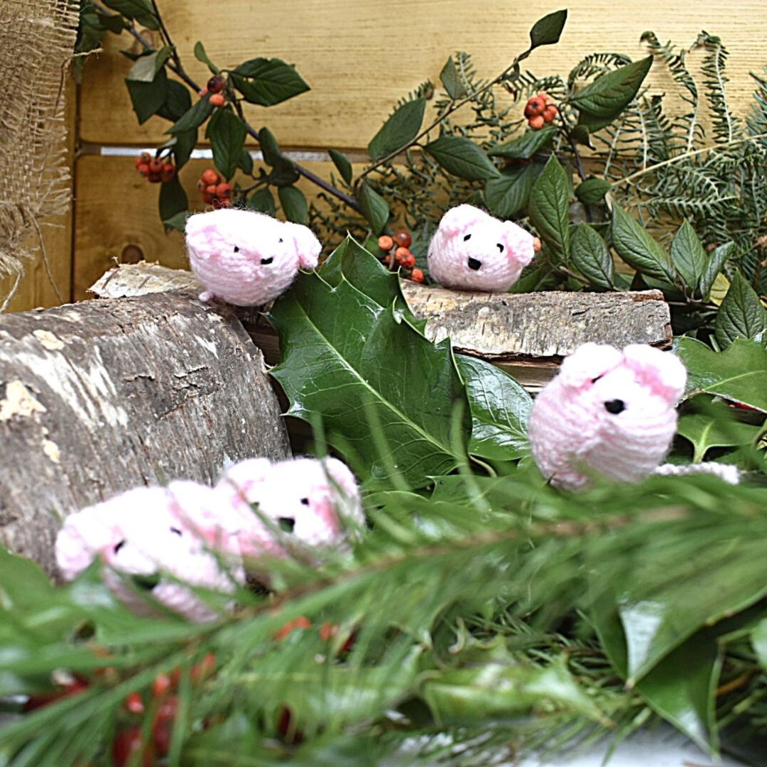 funny-pigs-in-blankets