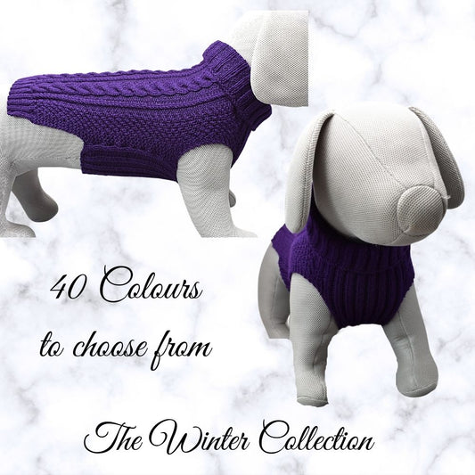 dog-knitted-jumper