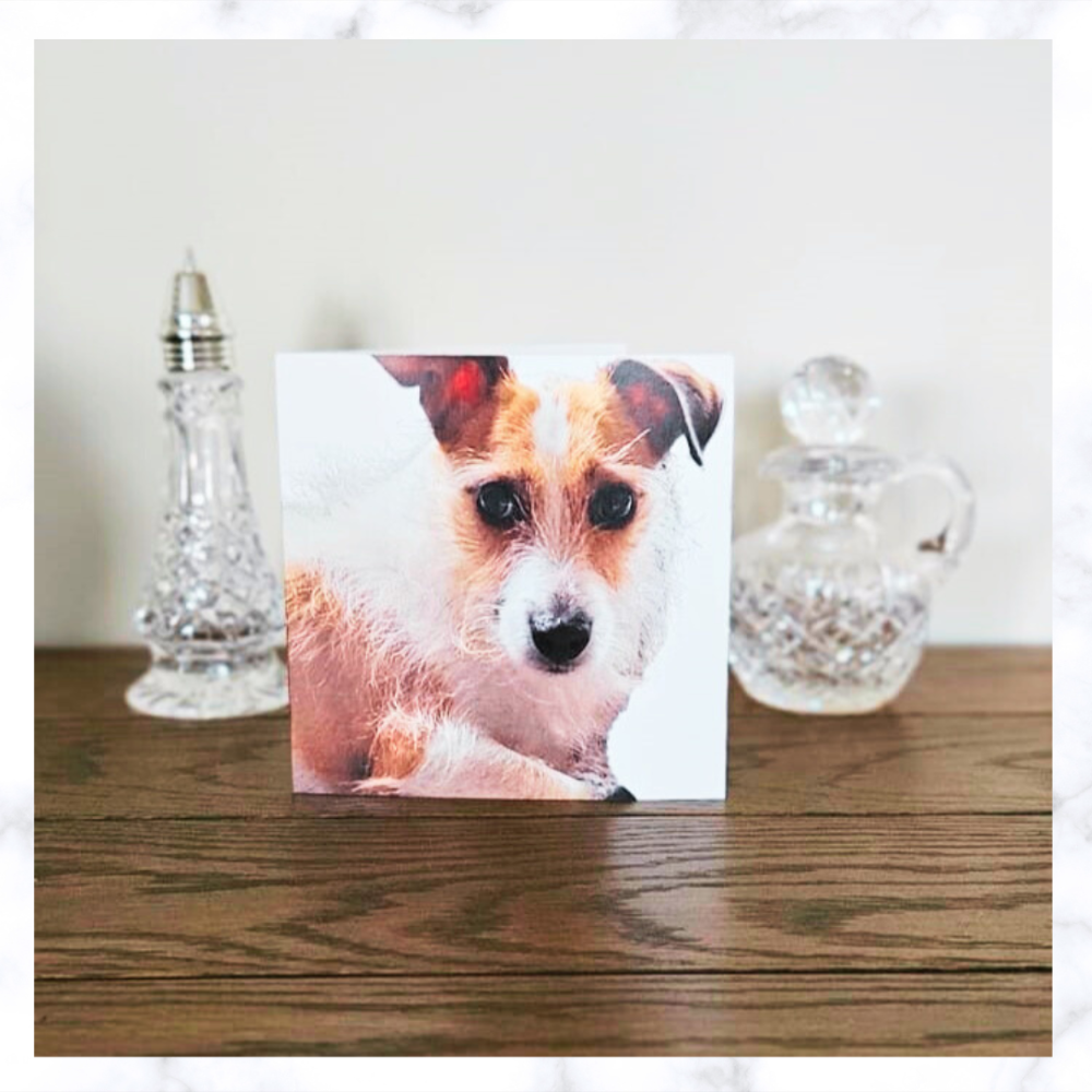 dog-thank-you-cards