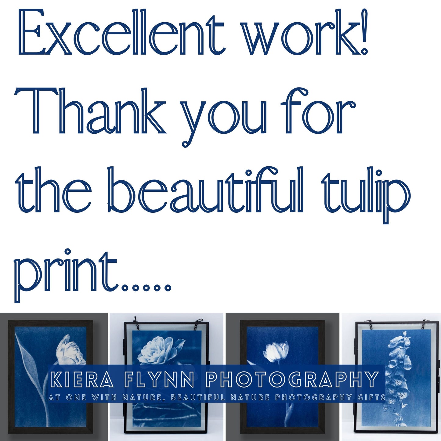 Blue Sweet William Flower | Flowers for Mum Birthday