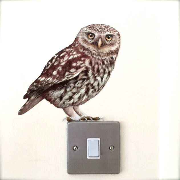 little-owl-decal