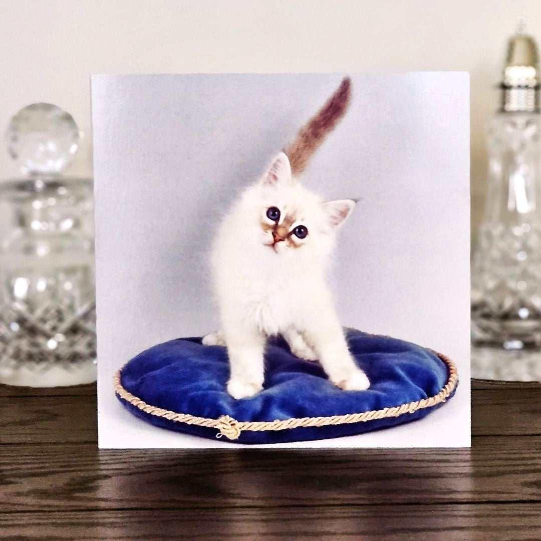 birman-cat-cards