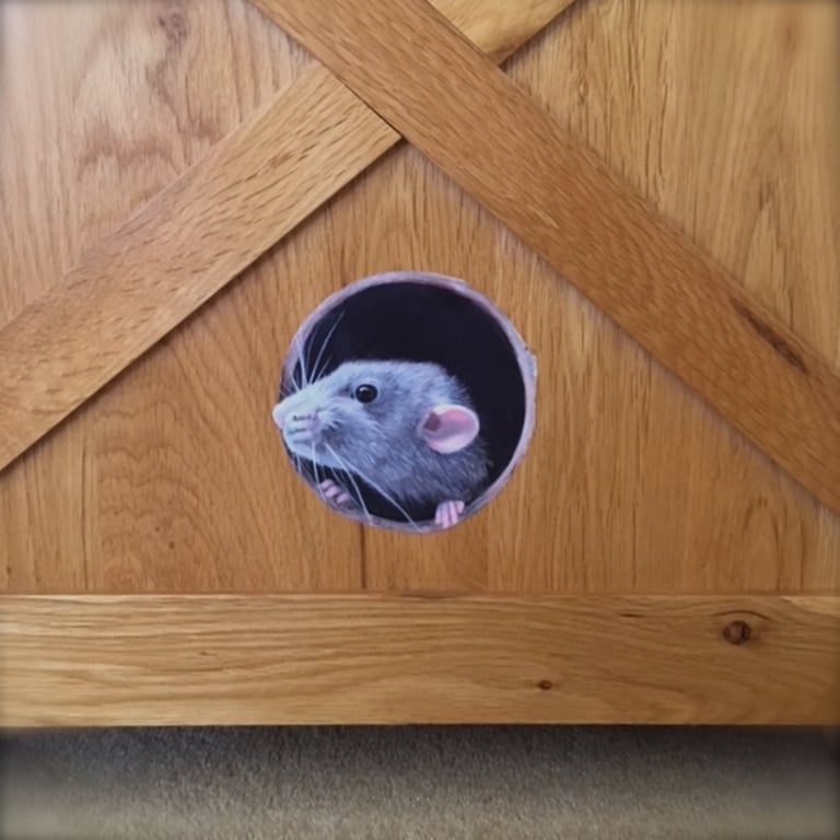 rat-wall-decal