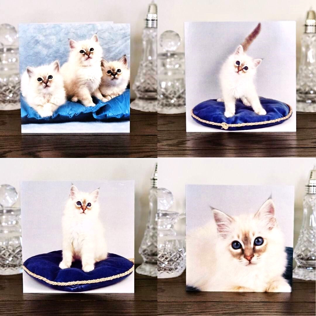 birman-cat-cards