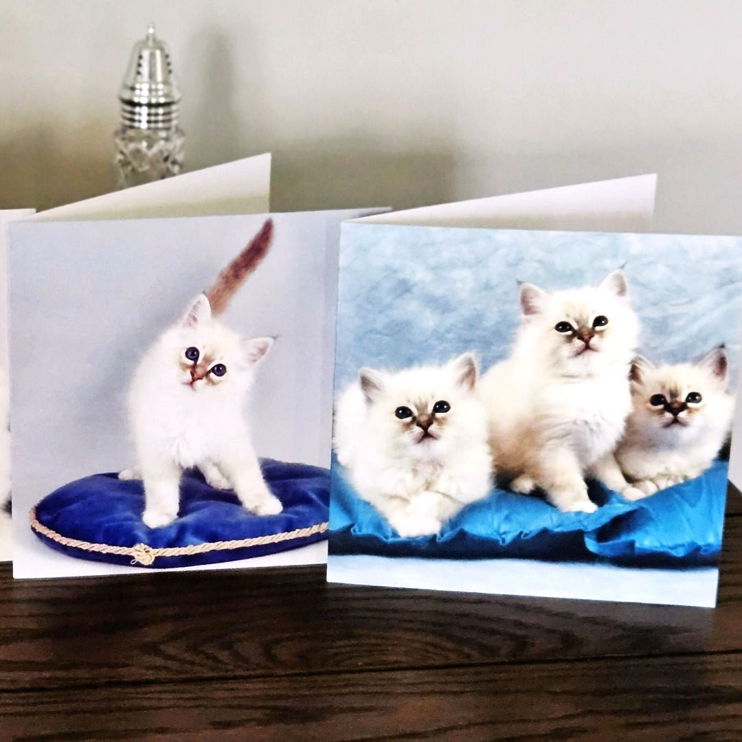 birman-cat-cards