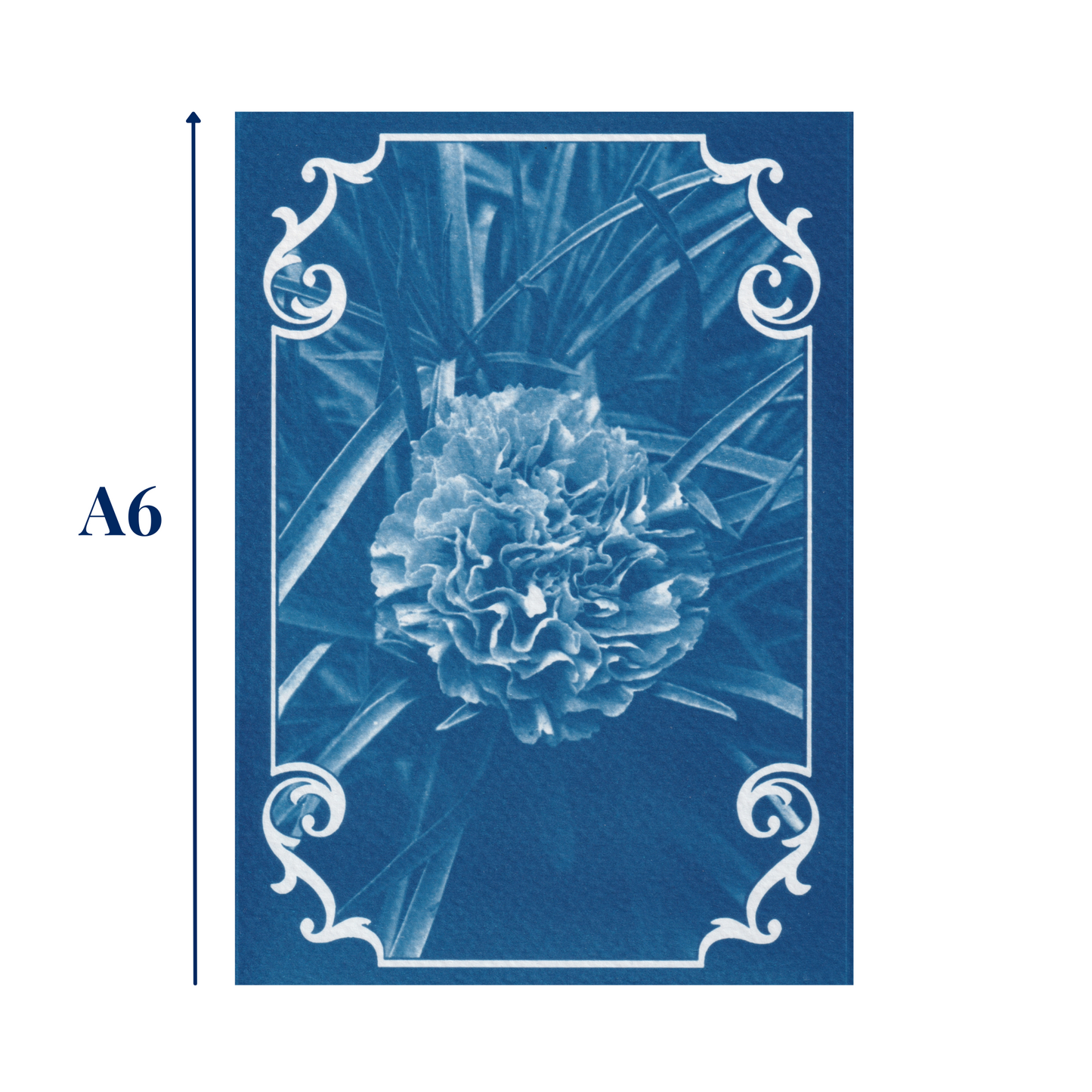 january-birth-flower