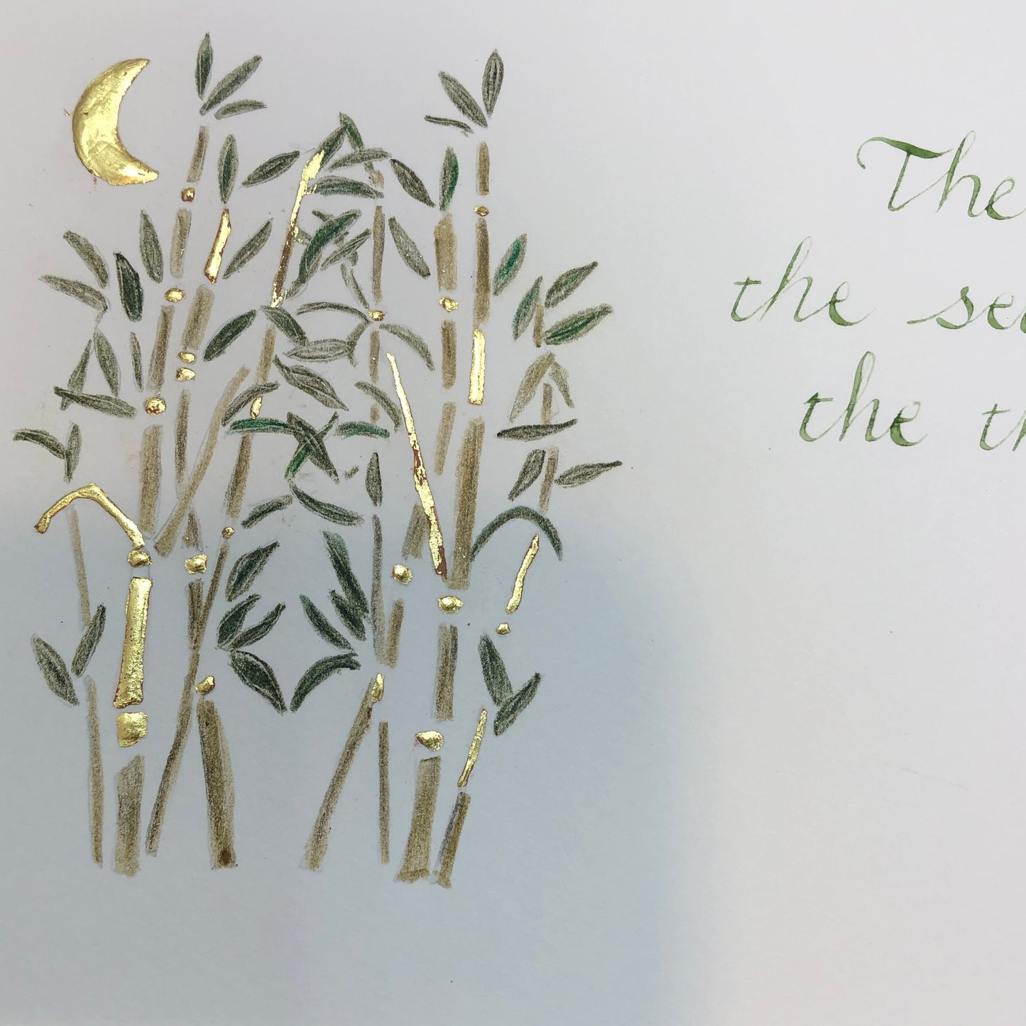 gold leaf plants