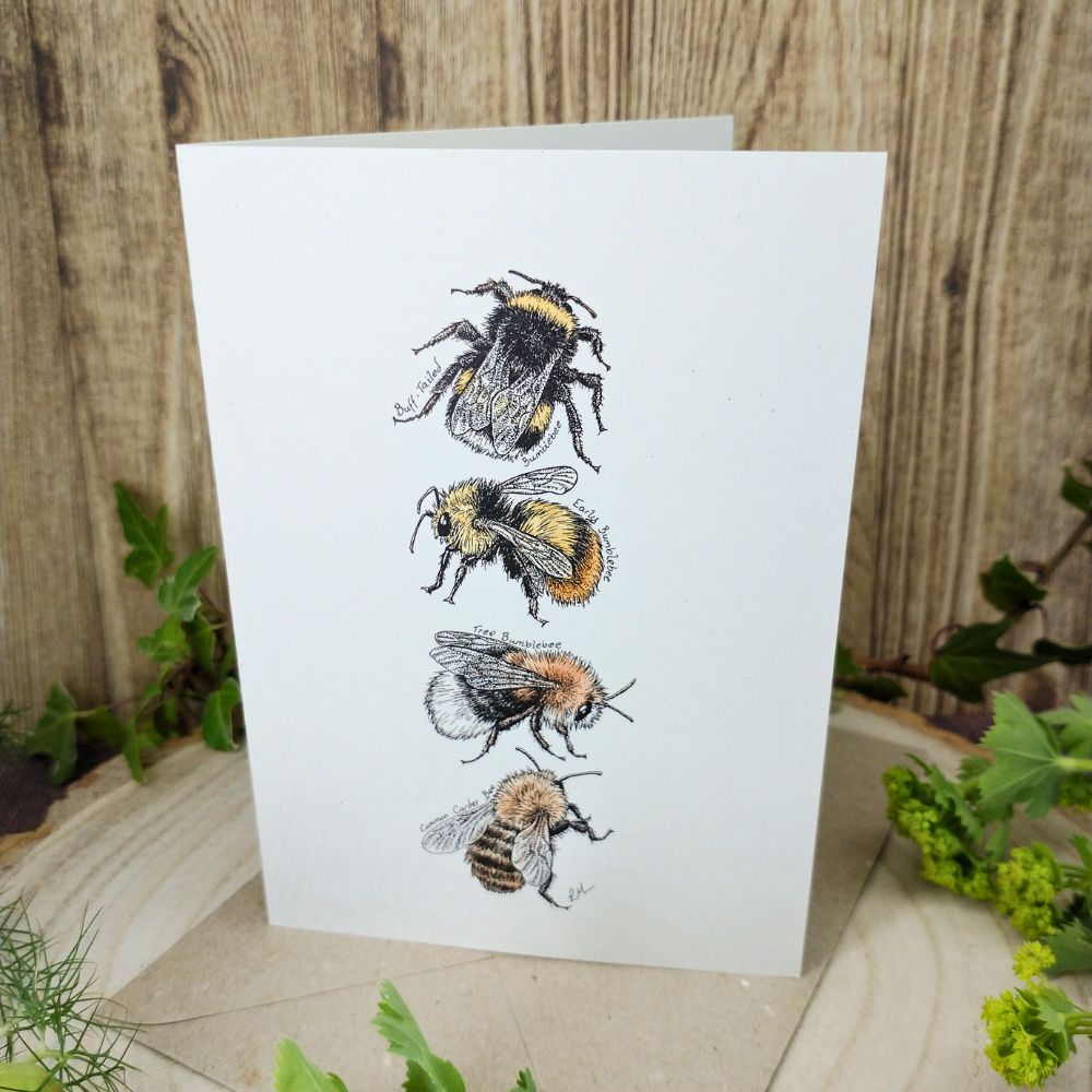 bumblebee-card