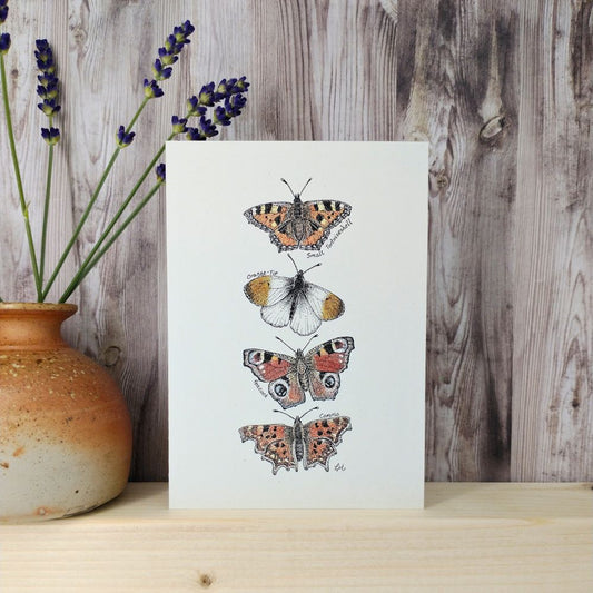 butterfly-card