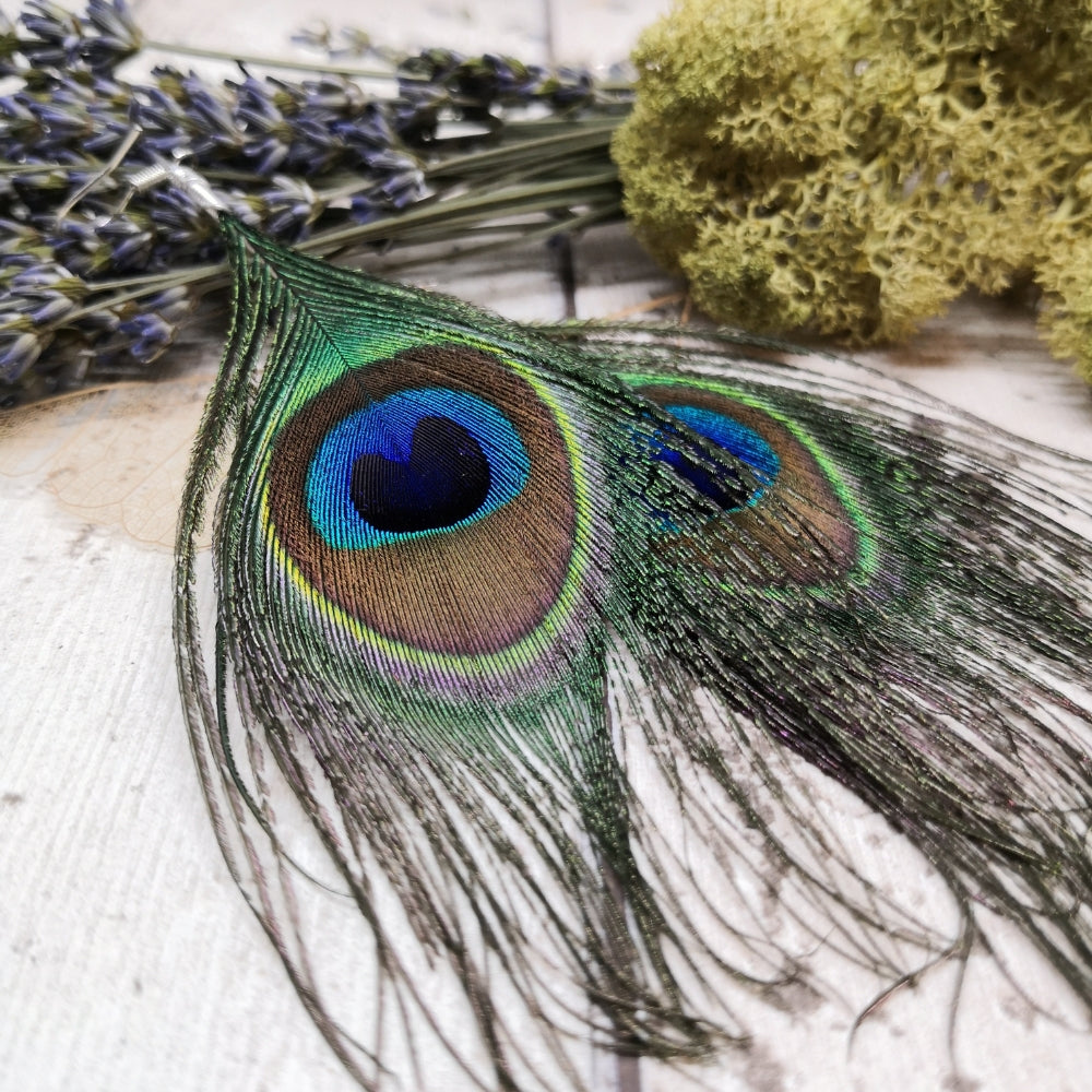 peacock-earrings
