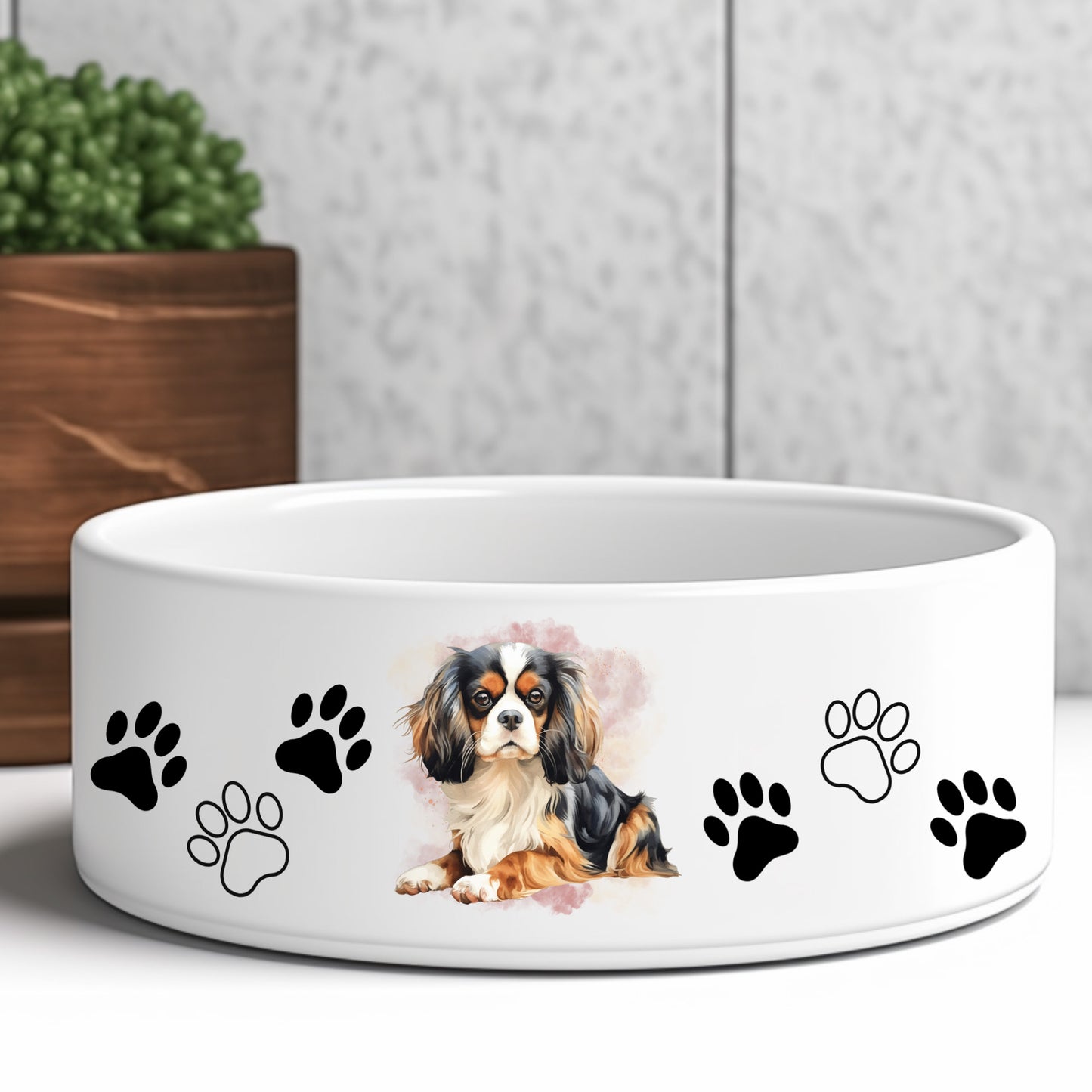 Cavalier King Charles Spaniel tri-colour pet bowl. Image with the dog in a lying position. Black and white paw prints decorate the bowl.