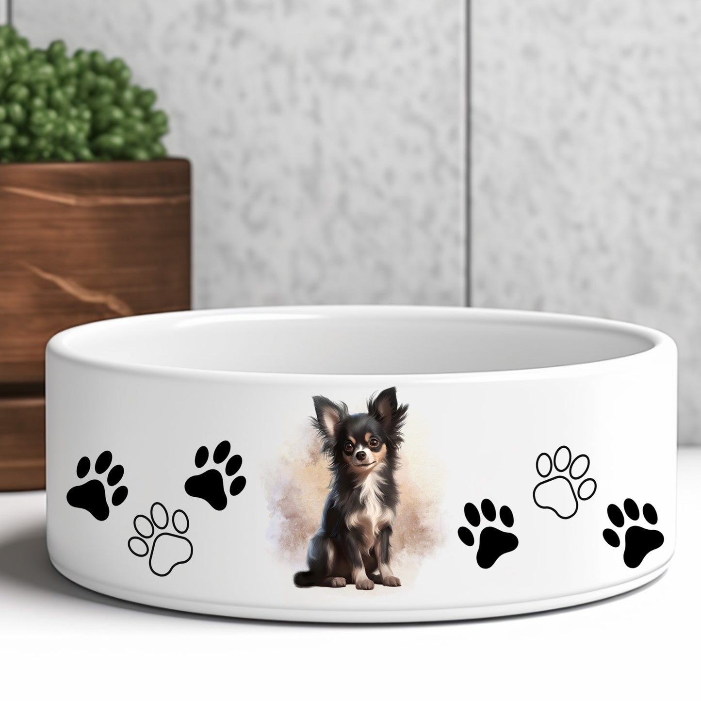 Sitting black and tan long haired chihuahua on a dog-bowl. Brown box with a green plant in the background.