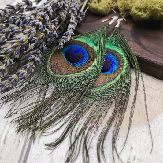 genuine-peacock-feather-earrings