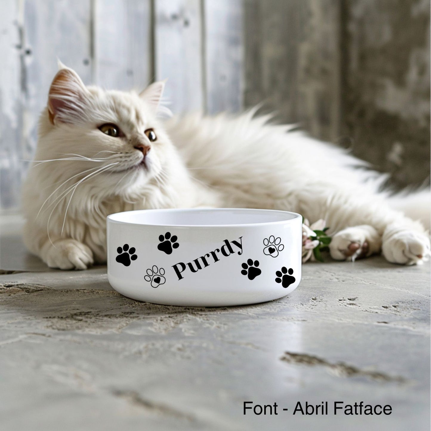 white ceramic cat food or water bowl featuring a personalised name and paw prints. A white cat lies in the background
