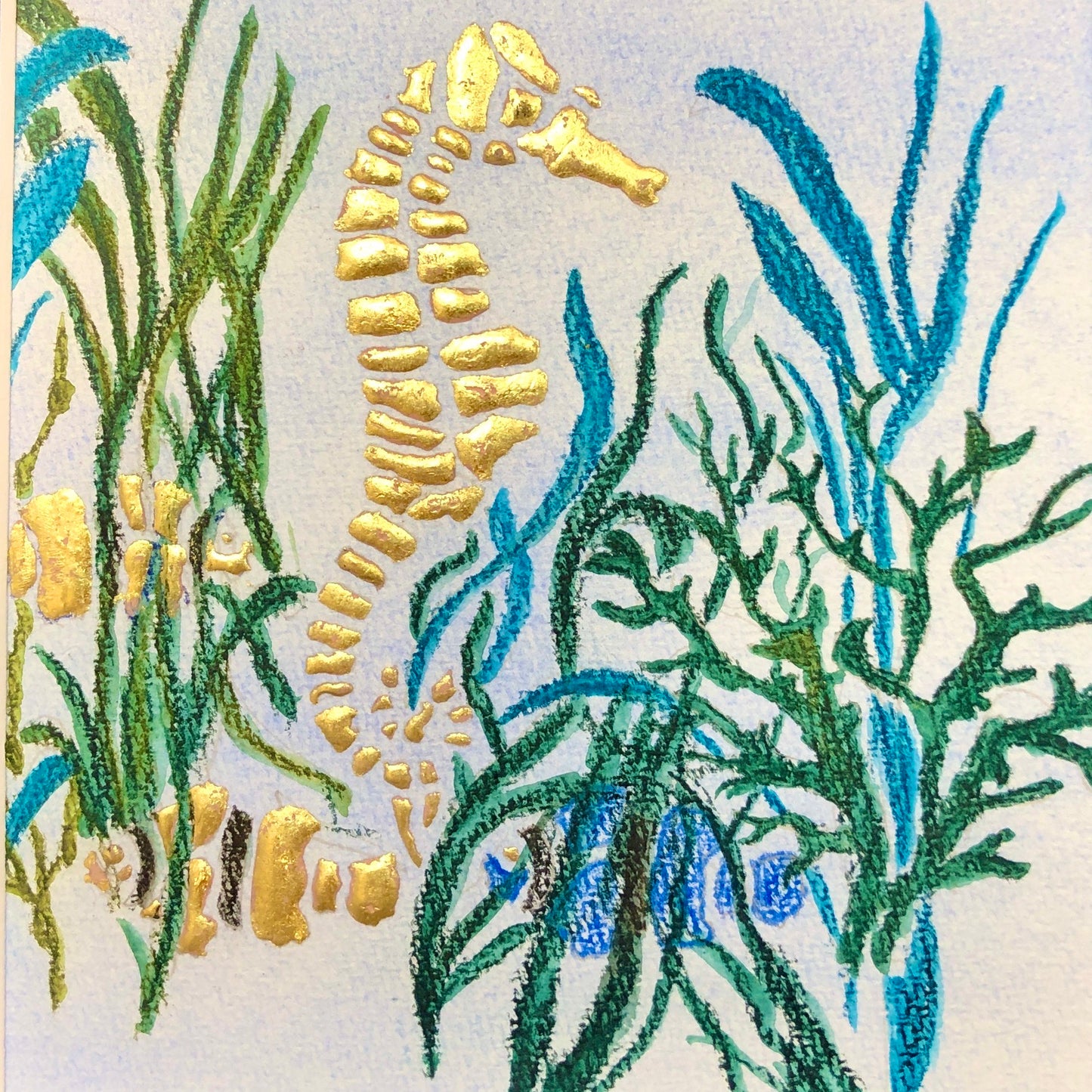 underwater-animals