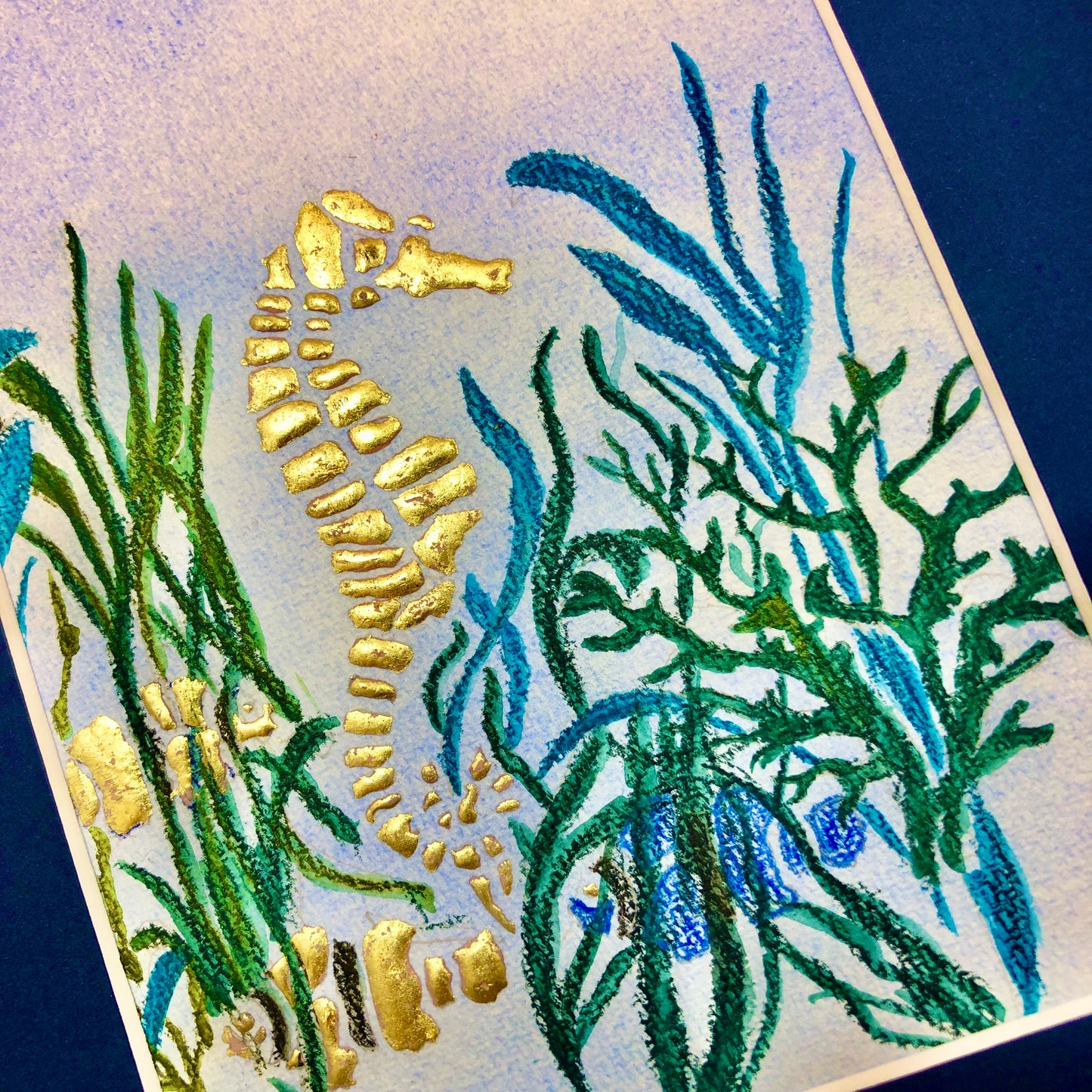 underwater animals