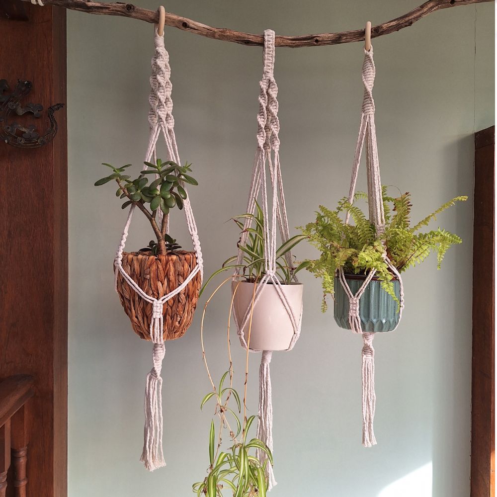 macrame plant hanger decor Macrame Wall Plant Hanger