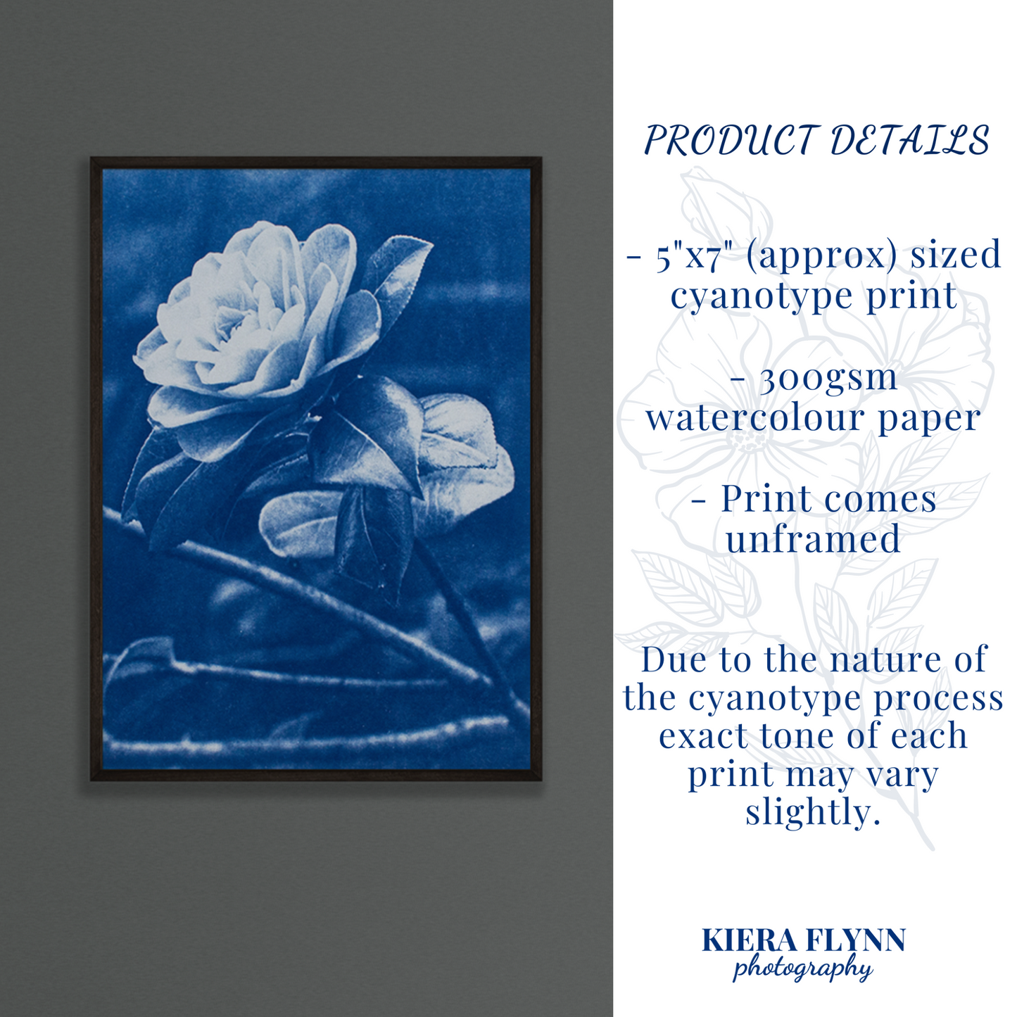 cyanotype-prints