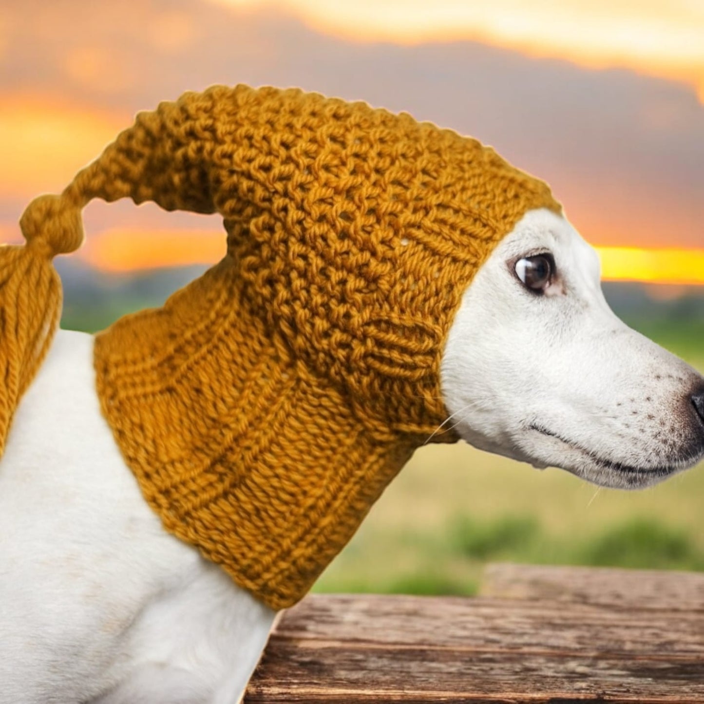 knitted dog balaclava
