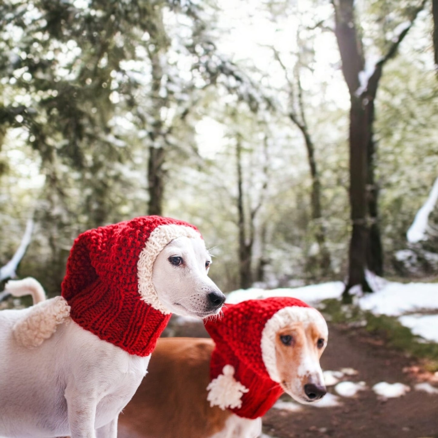knitted dog balaclava