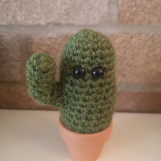 cactus-gift