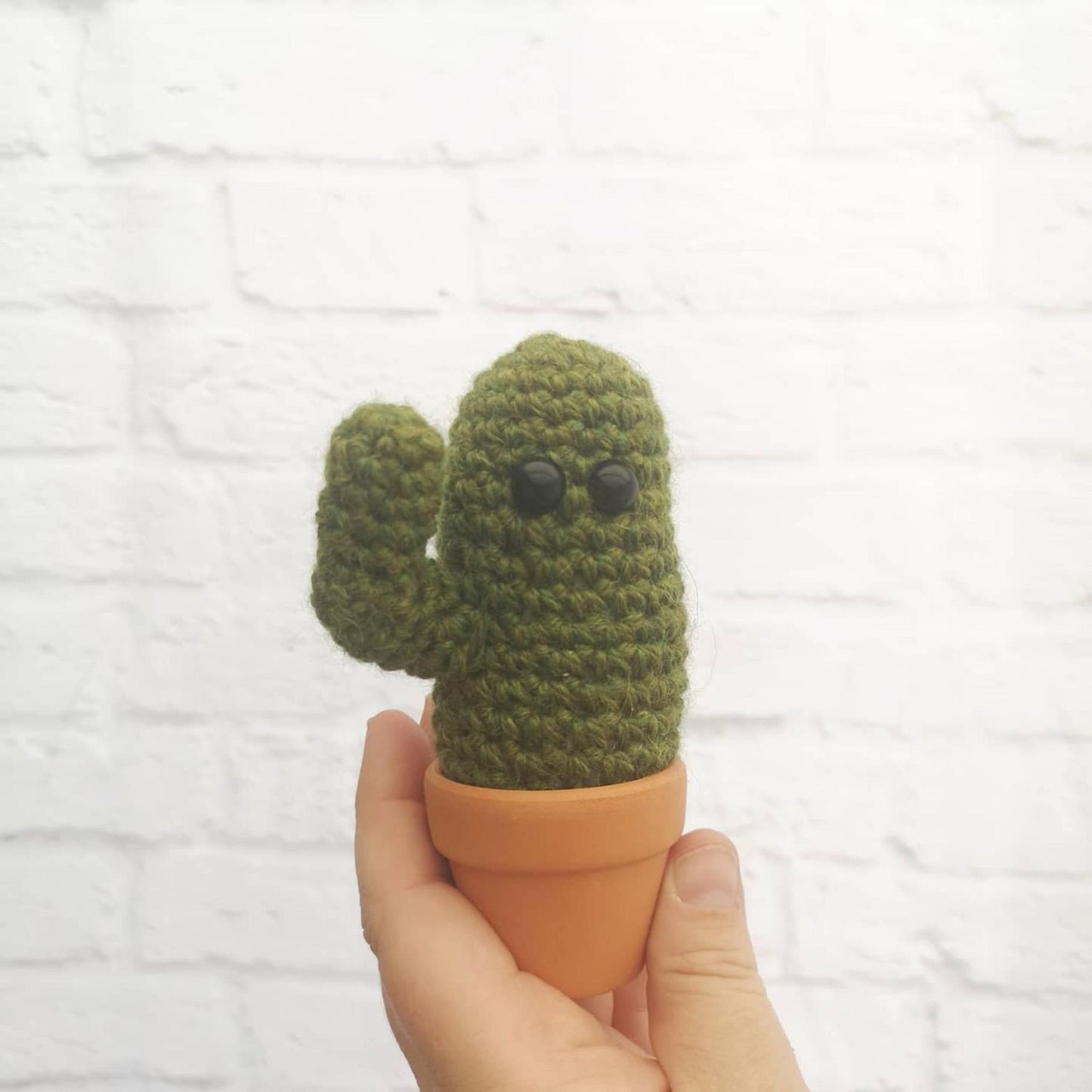 cactus-gift