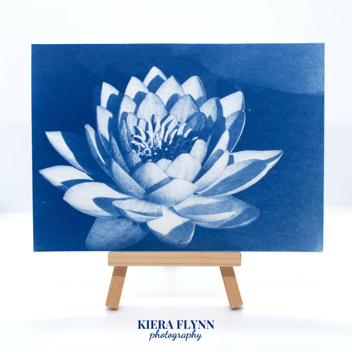 waterlily-gifts
