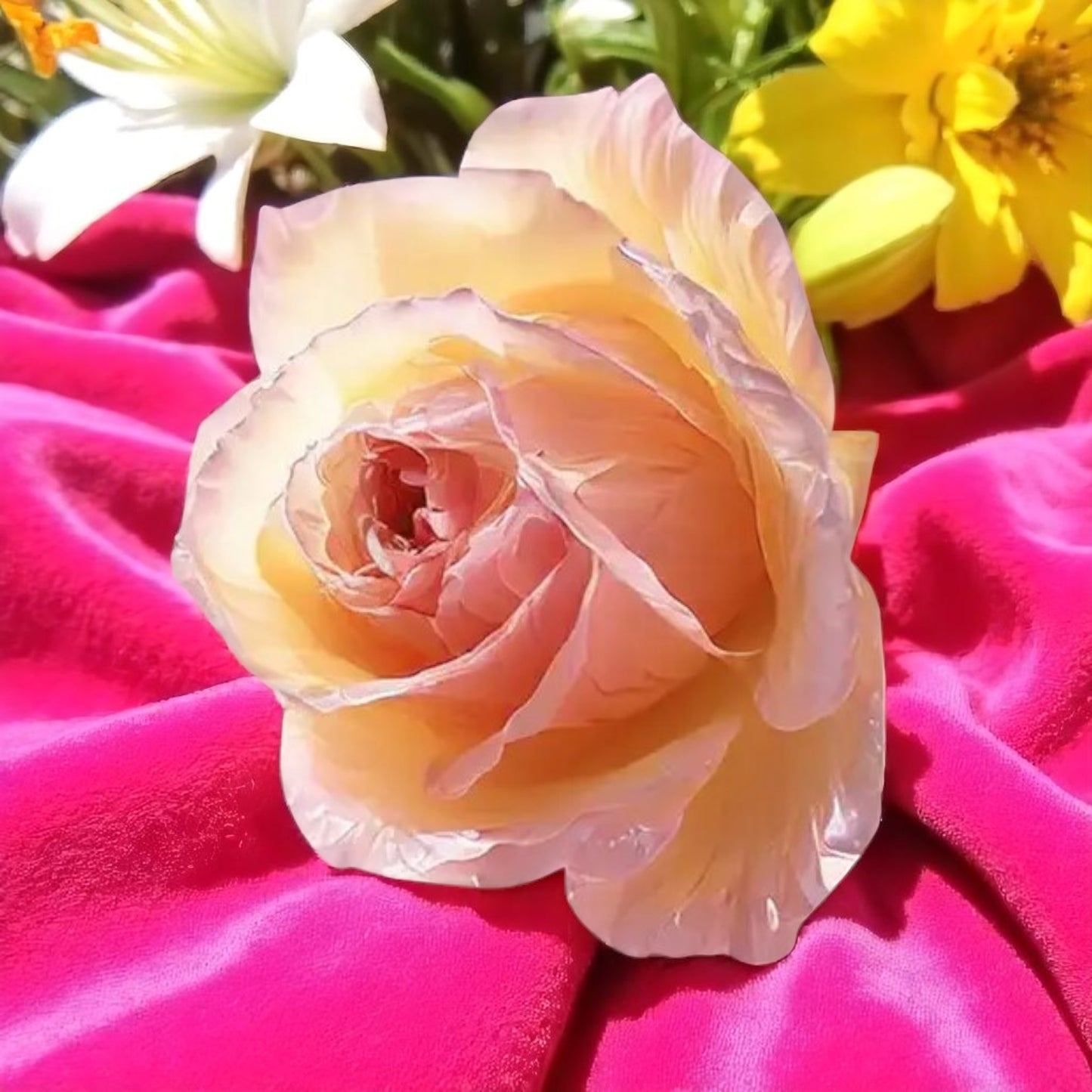 handmade rose wax melts