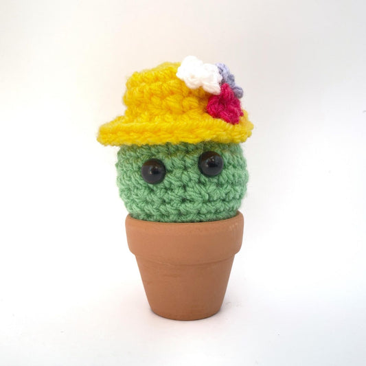 cactus-themed-gifts