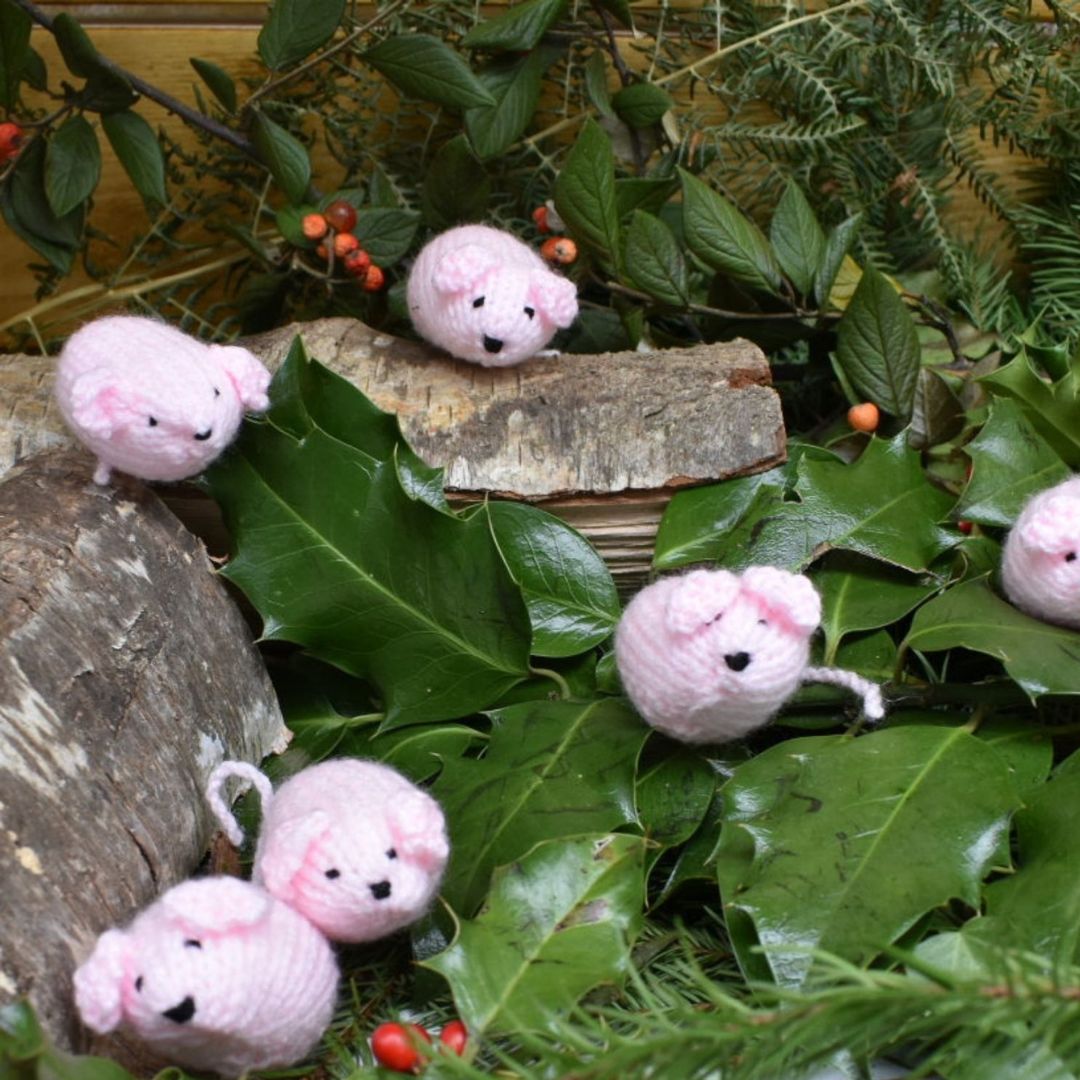 funny-pigs-in-blankets