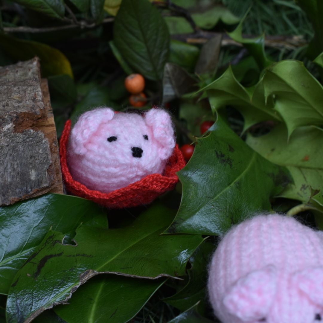 funny-pigs-in-blankets