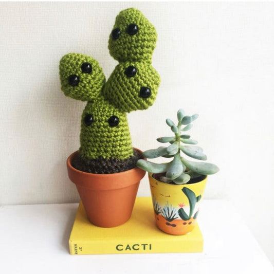 cactus-lover