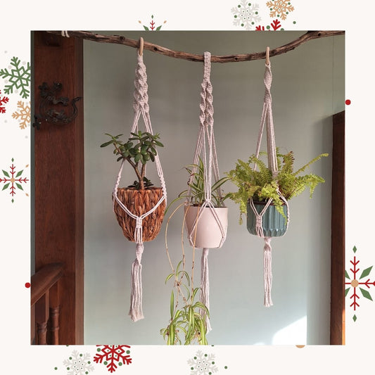 plant hanger christmas gift