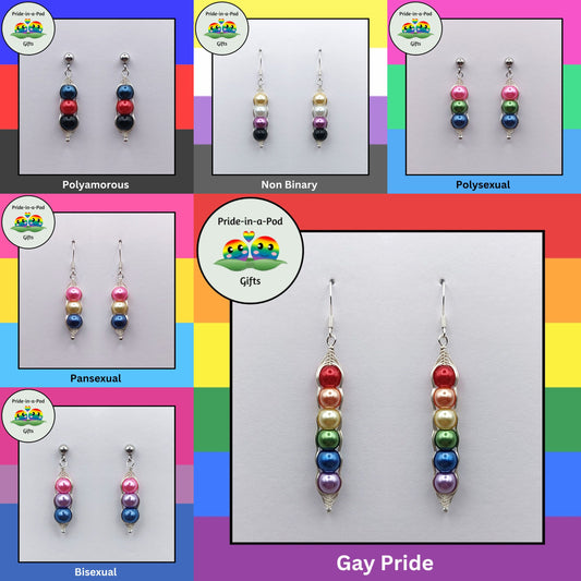 pride-silver-earrings