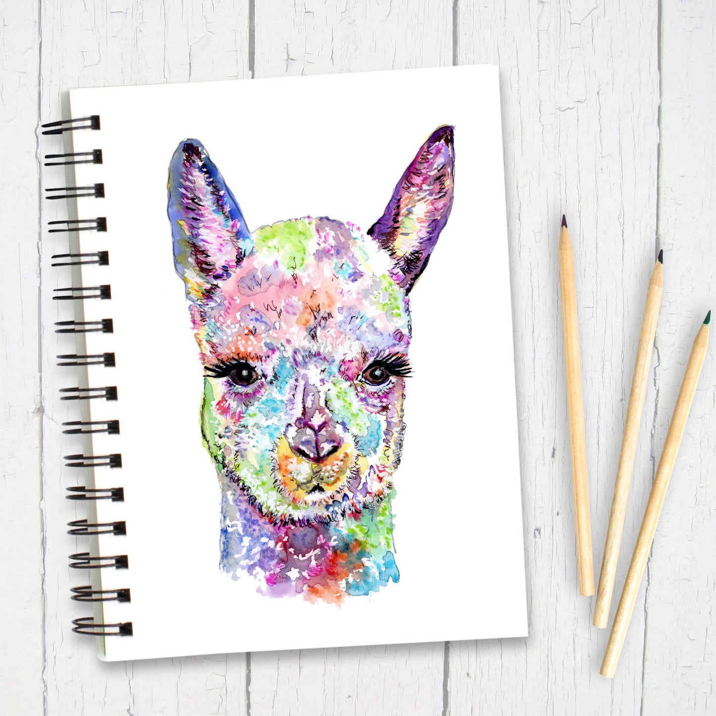 alpaca-notebook