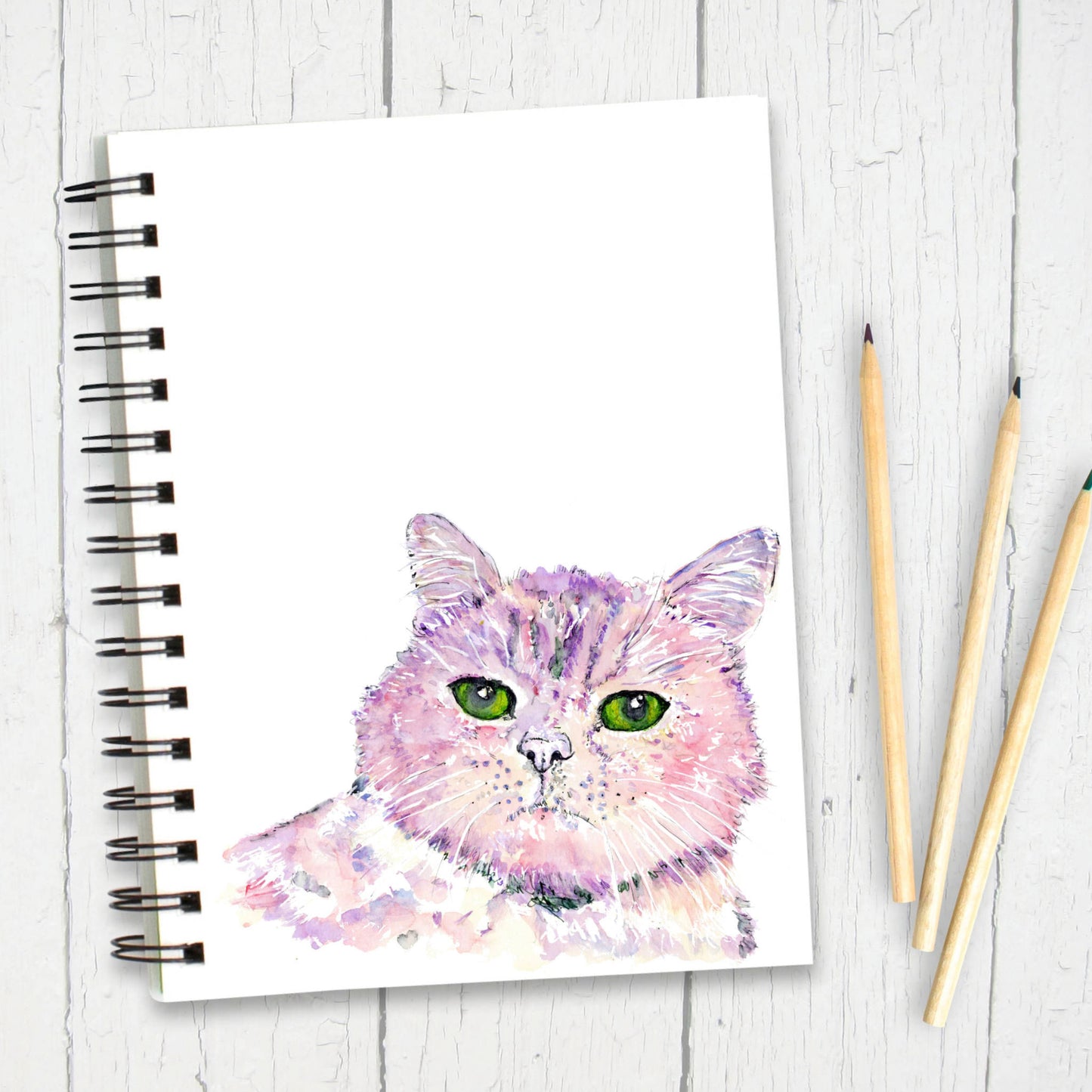 cat-notebook