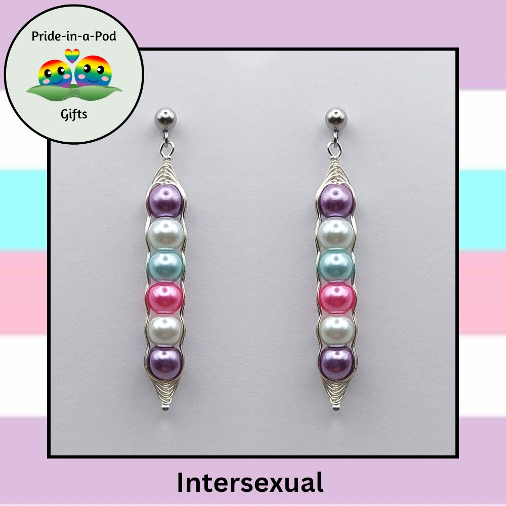 Pride Earrings | Bisexual Earrings