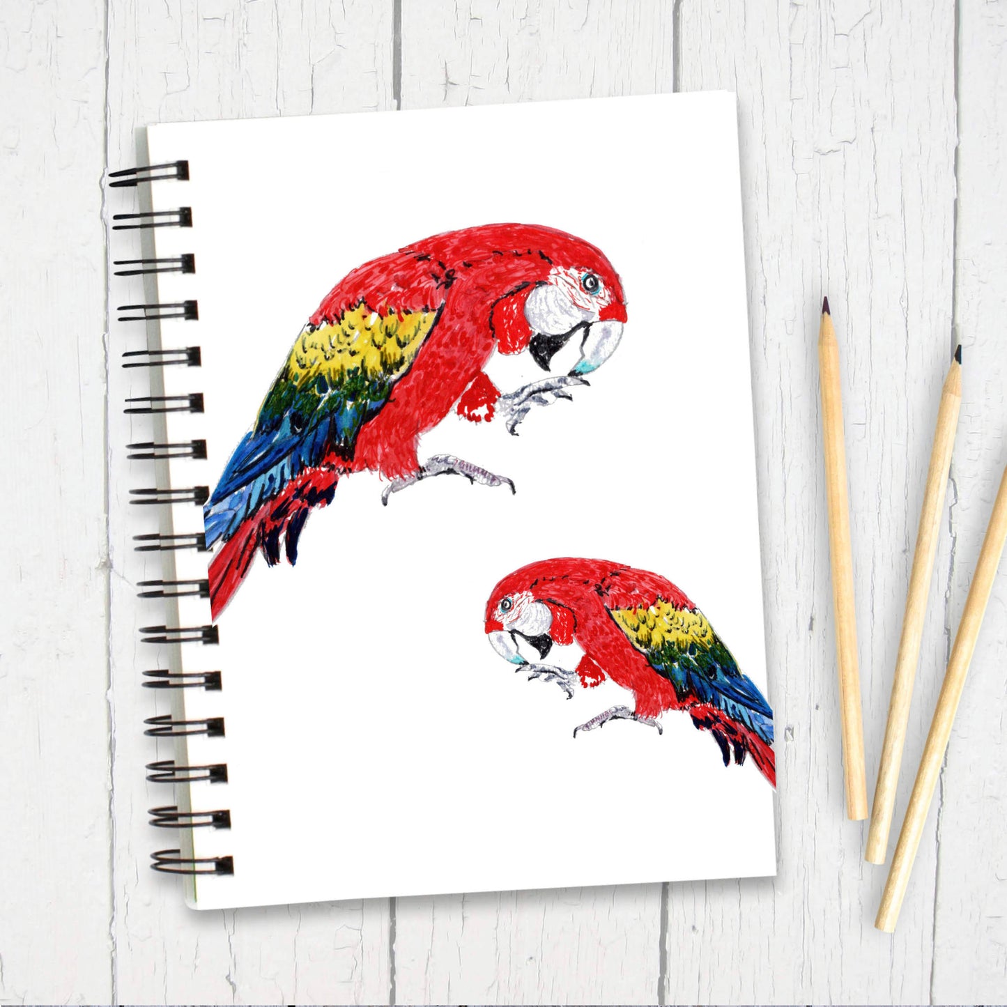 Parrot Mug - Parrot Gift Ideas