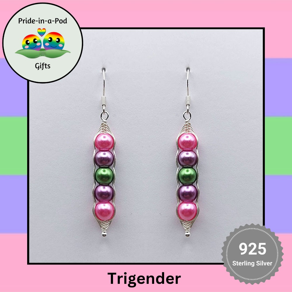 Pride Silver Earrings | Bisexual Silver Earrings