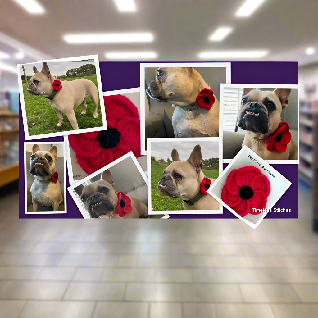 poppy dog tag