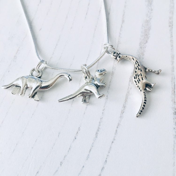 Dinosaur Jewellery Gift, Dinosaurs Necklace, Dinosaurs Jewellery, T Rex Necklace, Unusual Gift Ideas, Cute Jewellery For Her, Fun Jewelry.