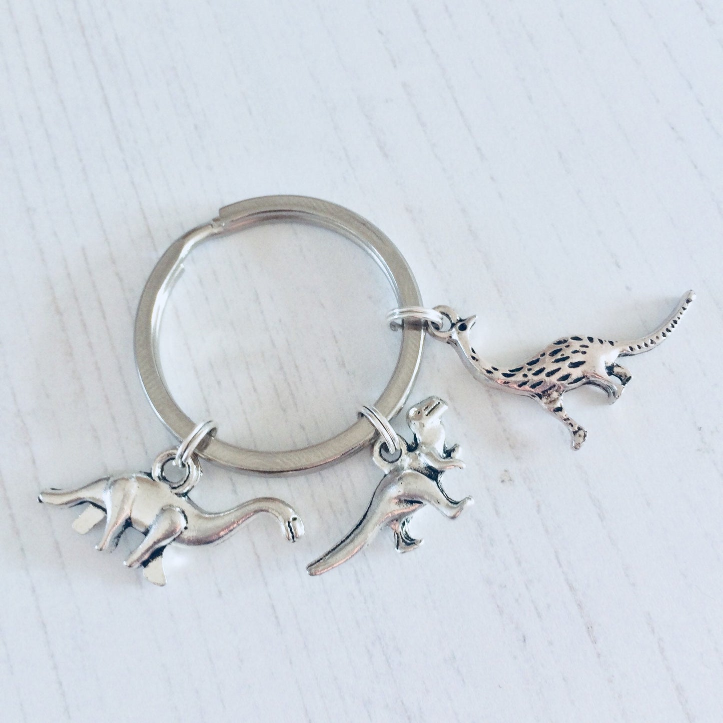Dinosaur Gifts, Dinosaur Keyring, Dinosaur Keychain, T Rex Keyring, Dinosaur Jewellery, Boys Party Bags, Dino Gifts, Dinosaur Gift Ideas.