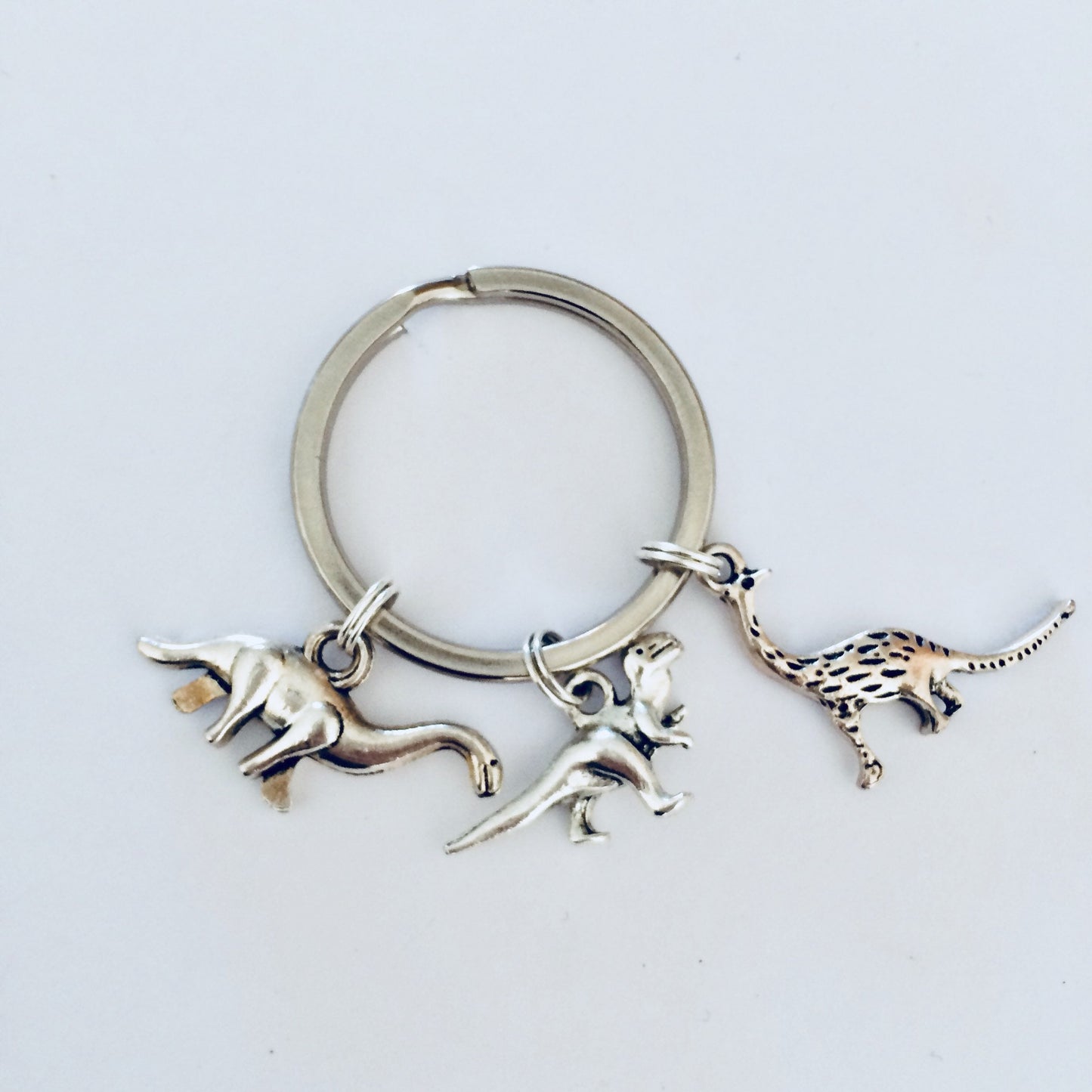 Dinosaur Gifts, Dinosaur Keyring, Dinosaur Keychain, T Rex Keyring, Dinosaur Jewellery, Boys Party Bags, Dino Gifts, Dinosaur Gift Ideas.