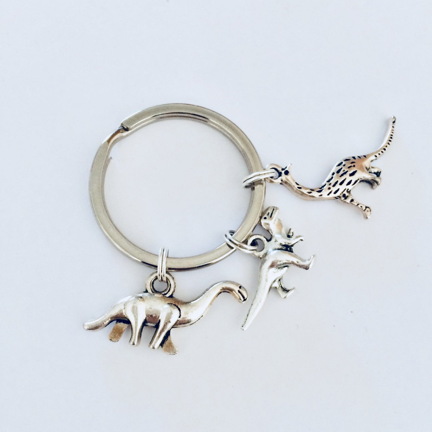 Dinosaur Gifts, Dinosaur Keyring, Dinosaur Keychain, T Rex Keyring, Dinosaur Jewellery, Boys Party Bags, Dino Gifts, Dinosaur Gift Ideas.