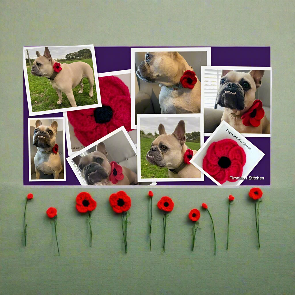 poppy jewellery