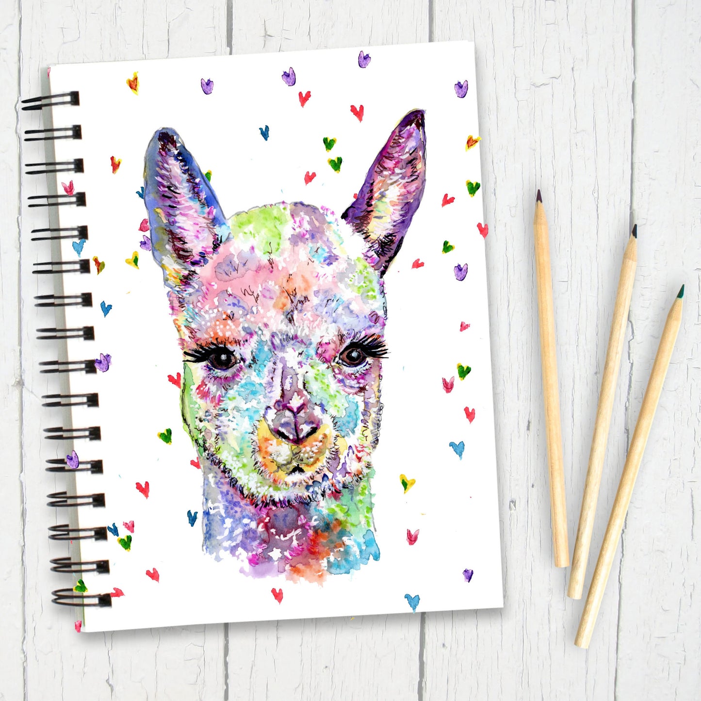 alpaca-notebook