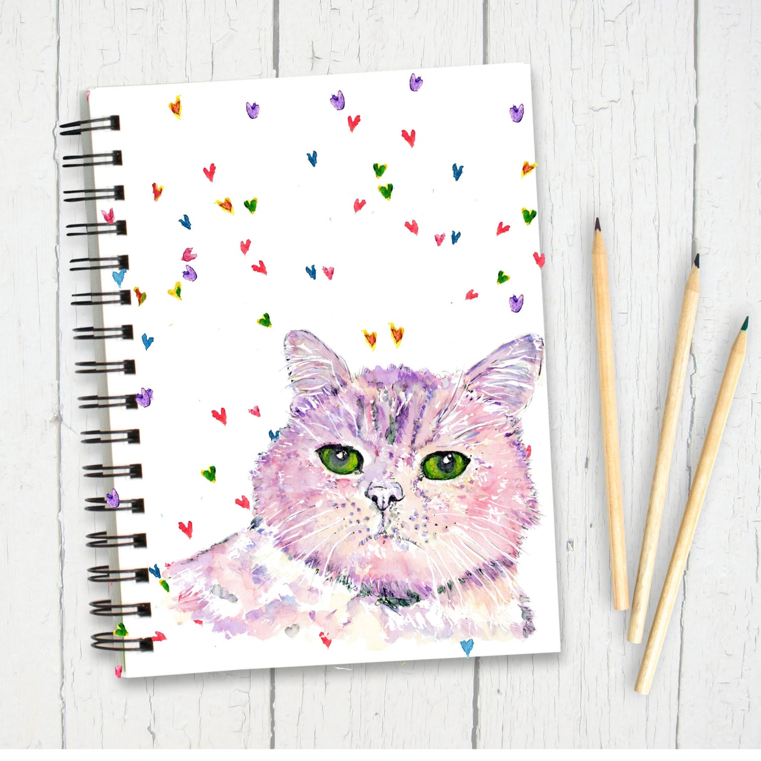 cat-notebook
