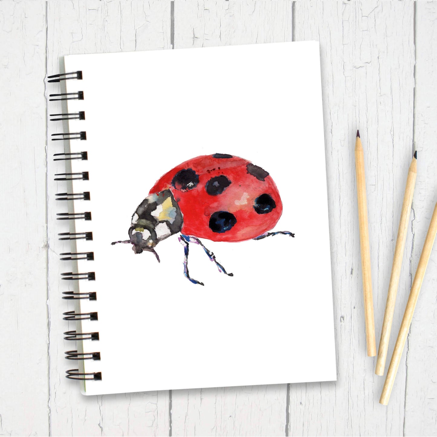 Ladybird Mug | Ladybird Gifts